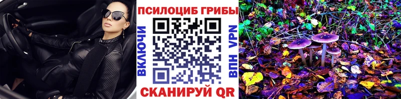 Псилоцибиновые грибы Psilocybe  как найти закладки  Верхний Уфалей 
