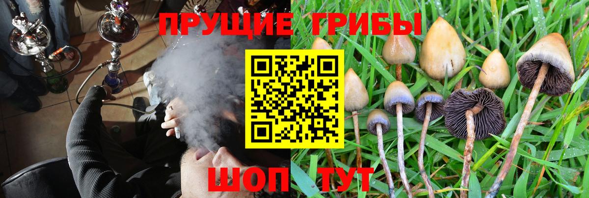 Галлюциногенные грибы мицелий  Верхний Уфалей 