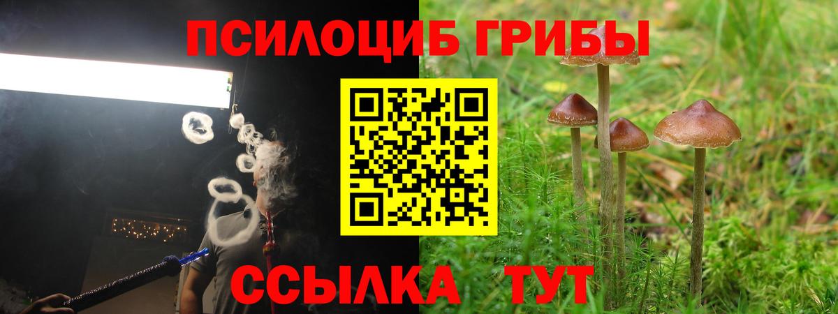Псилоцибиновые грибы Magic Shrooms Верхний Уфалей